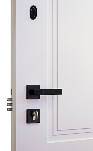 Biometrics Pro smart door controller
