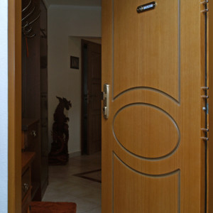 ADLO - Security door Zenex, profile design F-153, surface Veneer OAK, Wooden Decor for the doorframe Rustica