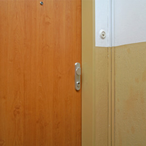 ADLO - Security door TEDUO, plain design, door surface Maple Adria, apartment entrance door