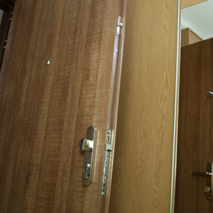 ADLO - Security door TEDUO, door surface H1151 on both sides, security door guard