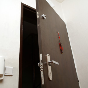 ADLO - Security door TEDUO, colour matching for security fitting, guard, and viewer