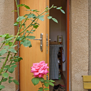 ADLO - Security Termo door ARDEN, back entrance TERMO door into a house, door opens outward