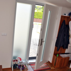 ADLO � exterior Termo door ADUO, glass atypical color, skylight with armour-style