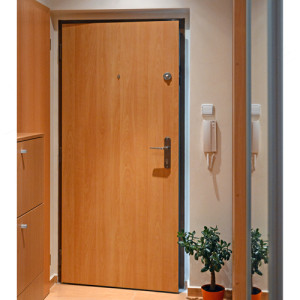 ADLO - Security door ADUO, plain design, ADLO security door guard