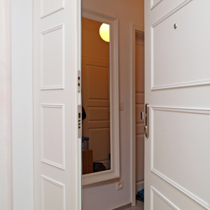 ADLO -Security door TEDUO, double-wing door, slat LR 203, dimensions 240 cm x 150 cm