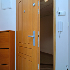ADLO - Security door Aduo, profile design Veneer OAK, colour matching for fittings, door guard, and viewer