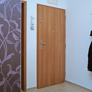 ADLO - Security door ADUO, plain design, security door guard, panoramic viewer