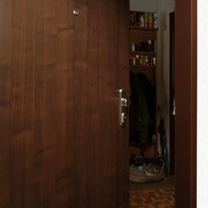 ADLO - Security door TEDUO, plain design, door surface Royal Maple