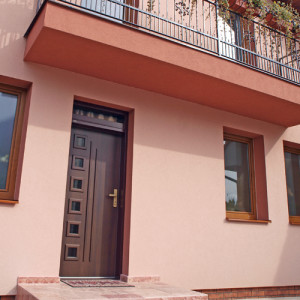 ADLO � exterior Termo door TEJEN, door surface G773, glass design PS552, top skylight