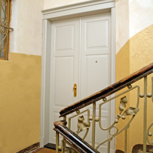 Double-wing ADLO - Security door ADUO, atypical panel design, RAL 6019, atyp doorframe facing