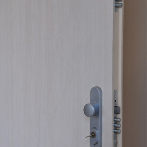 ADLO - Security door ARDEN, door surface BRE 387, fireproof finish