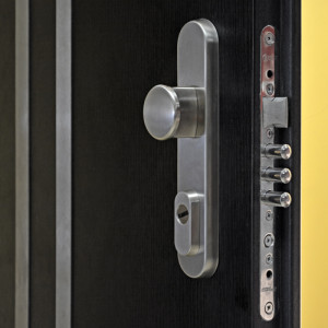 ADLO - Security door ADUO, slat design LP553, flat slat Anticoro