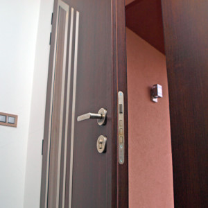 ADLO - exterior Termo double-wing door Kasim, glass P371, dimensions 180cm x 225cm