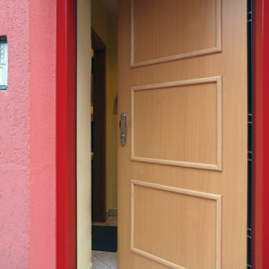 ADLO - exterior Termo door Aduo, slat design LOG 200, door surface S810, doorframe surface RAL3005