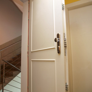 ADLO - Security door ARDEN, slat LB101, door surface BIE 113, doorframe finish RAL 9003