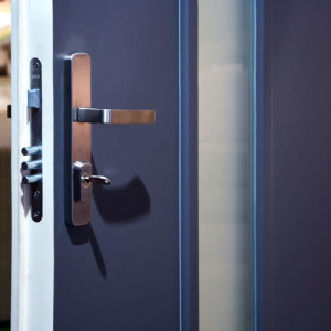 ADLO - Security door JUSTO, glass P107, two-coloured door finish