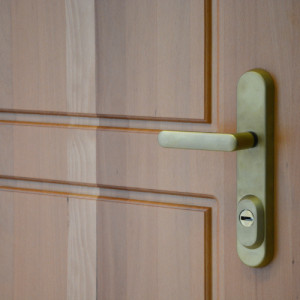 ADLO - security door TEDUO, profile F 200, door surface double-sided natural Massif