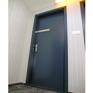 ADLO - Security door LISBEO, plain design, door and doorframe surface RAL 7016 matt