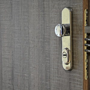 ADLO - Security door TEDUO, plain door design, door surface H1151, oval security fitting