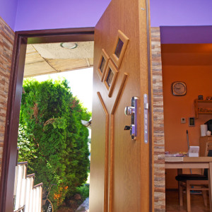 ADLO � exterior Termo door Kasim, glass PS502, family house renovation