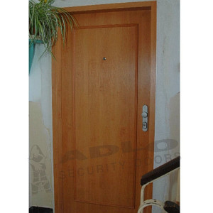 ADLO - Security door TEDUO, slat design LR100, doorframe facing