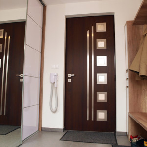 ADLO - Security Termo door Kasim, glass PS552, rosette fittings, slats Anticoro