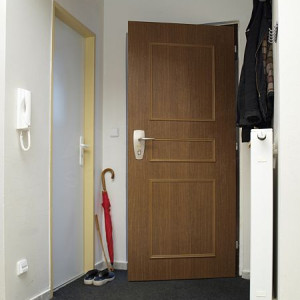 ADLO - Security door TEDUO, Aqua design, slat L250, noise-proof