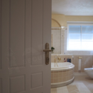 ADLO - Security Door TEDUO, profile Colour F321, for the interior, noise-proof insulation