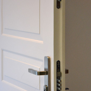 ADLO - security door ADUO, panel KV-2 250,  door surface sprayed Color RAL, apartment entrance door