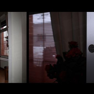 ADLO - Security door TEDUO, profile Color F152, for the exterior, noise-proof