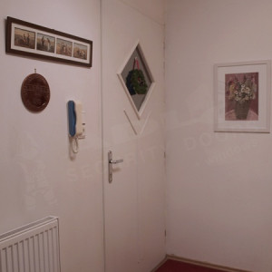 ADLO - Security Entrance Door TEDUO, glass P450, security glass