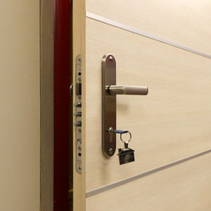 ADLO - Security door TEDUO, slat atypical, apartment entrance door, Wooden Decor ADLO doorframe