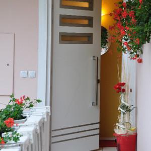 ADLO - Security Door TEDUO, NOBLESSE, Gloria 004, Termo Exterior, dimensions 225cm x 100cm