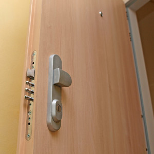 ADLO - Security door TEDUO, apartment entrance door, door surface Locust H1277