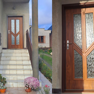ADLO - Exterior Termo door, glass P401, clear glass Delta, surface golden oak