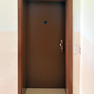 ADLO - Zenel Security Door, door and door frame finish RAL8002, door frame depth 50 cm