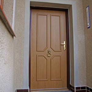 ADLO - Security Termo door ADUO, slat LB 420, surface Geta 173, doorknocker Lion