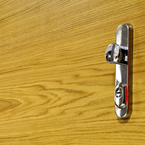ADLO - Security Door TEJEN M4, door surface natural Veneer, apartment entrance