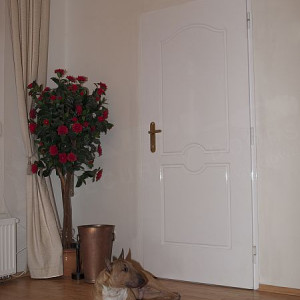 ADLO - Security door TEDUO, profile Color F152, for the exterior, noise-proof