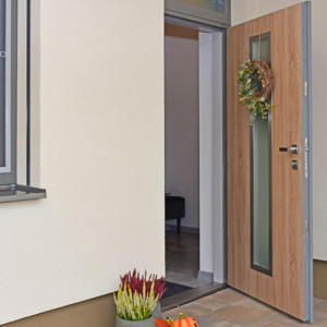 ADLO - Exterior Termo door, glass, dimensions 90cm x 245cm with top skylight
