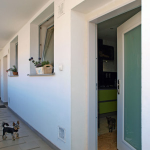 ADLO - exterior Termo door ADUO, glass P100, courtyard apartment