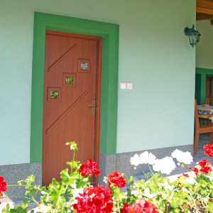 ADLO � exterior Termo door KASIM, Termo triple-pane glass P522, glass Stopsol - bronze, doorframe facing