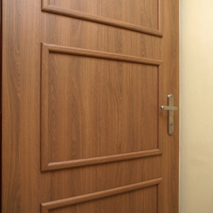 ADLO - exterior Termo door Aduo, slat design LOG 200, door and slat surface G731