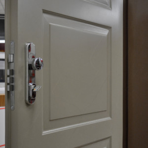 ADLO - Security door LISBEO, door design panel KV-2, door surface sprayed Color