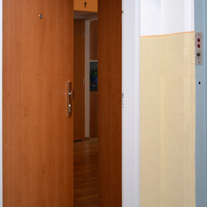 ADLO - Security door ADUO, plain design, ADLO security door guard