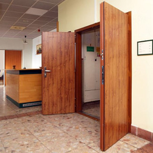 ADLO - Security door LISBEO, two-winged 75x75cm, plain design, door surface DR354