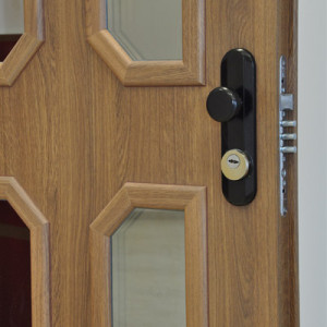 ADLO - Security door Teduo, glass Termo exterior, security safe-style termo triple-pane P421