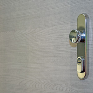 ADLO - Security door LISBEO, door surface DL 65 SMA, horizontal pattern, security fitting Fest