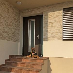 ADLO - Security door ARDEN, design NOBLESSE Dalia 003, exterior Termo, side skylight