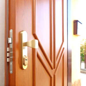 ADLO - exterior Termo door Lisbeo, slat design LOG 402, door and slat surface G656